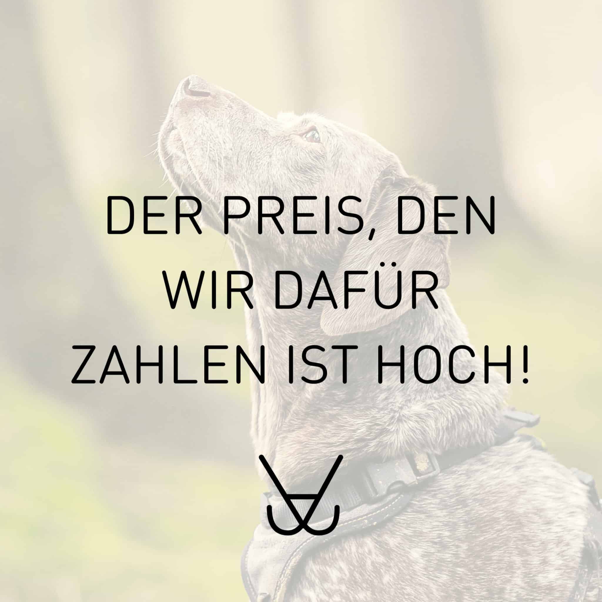Der Preis ist hoch Der ist zu gestresst zum Lernen