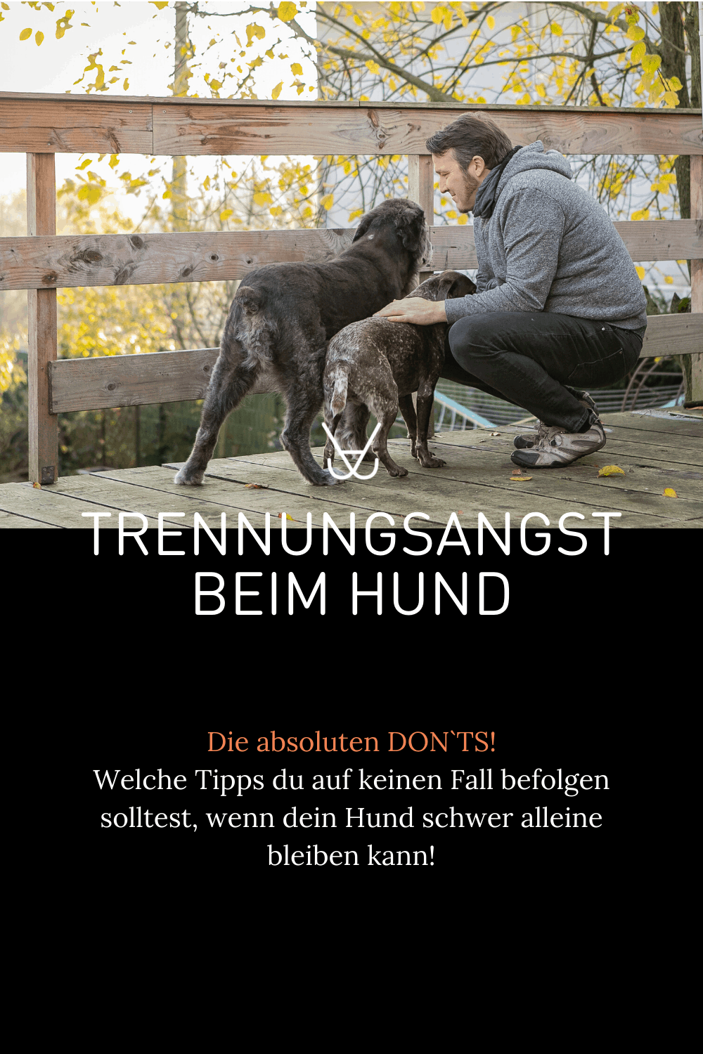 Trennungsangst beim Hund - Die absoluten Don´ts Mein Hund kann so schwer alleine bleiben