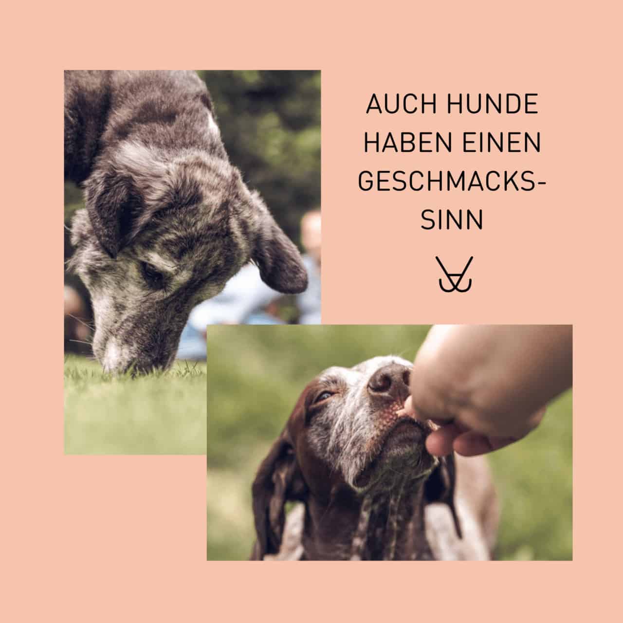 Wenn Deine Alte Chillen Will Kein Problem