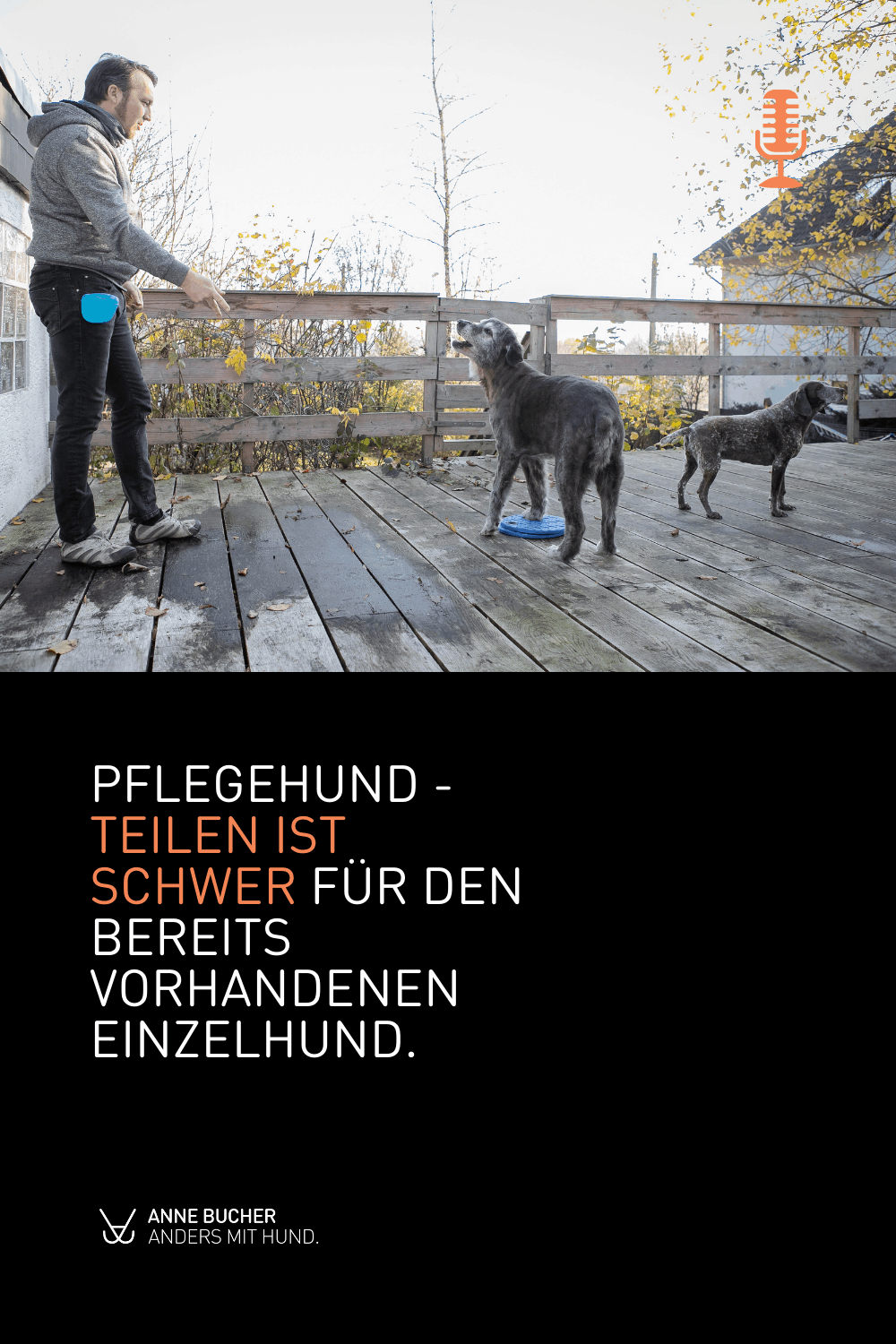 Ein Pflegehund dazu - Retten auf Kosten der eigenen Hunde