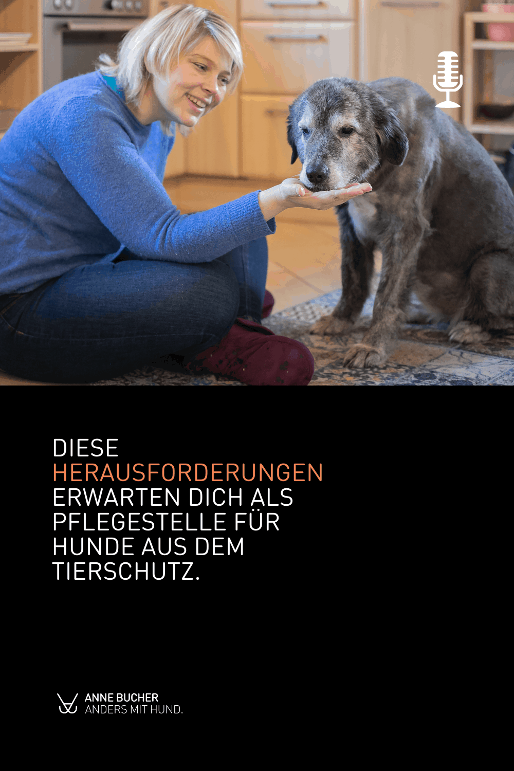 Ein Pflegehund dazu - Retten auf Kosten der eigenen Hunde