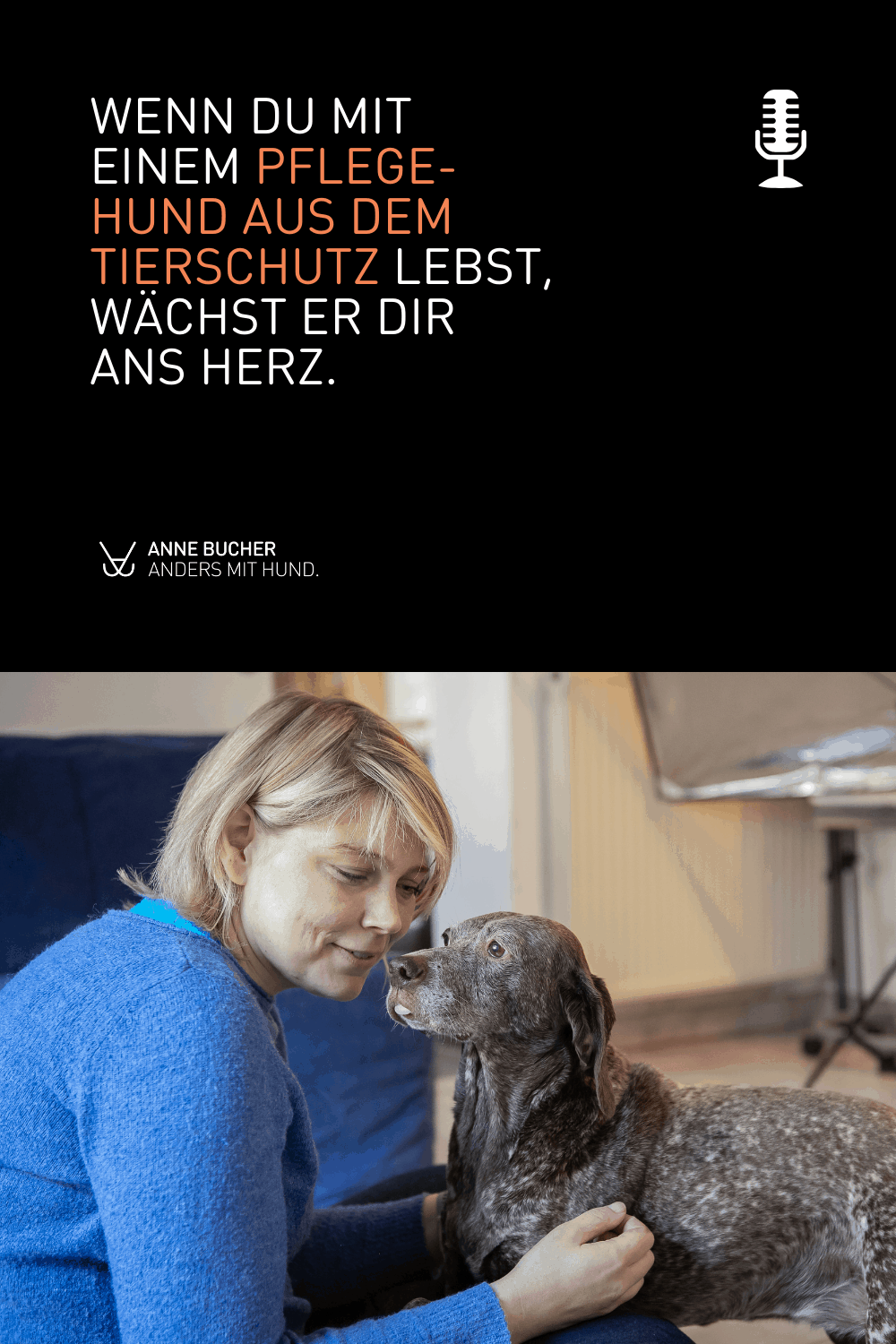 Ein Pflegehund dazu - Retten auf Kosten der eigenen Hunde