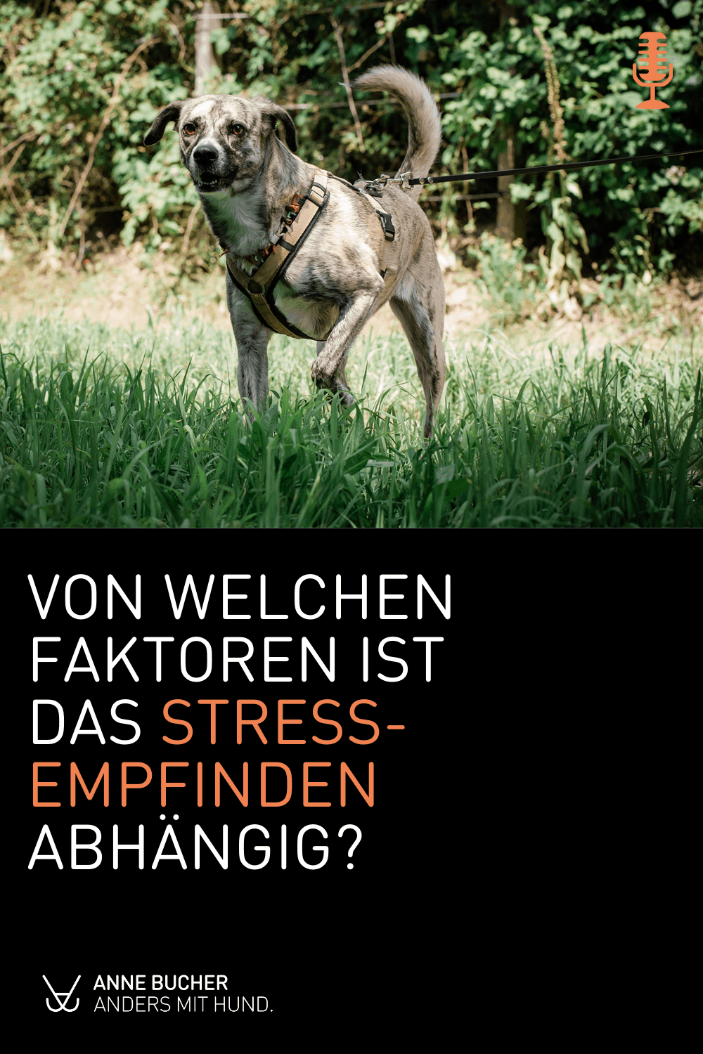 Was ist Stress?