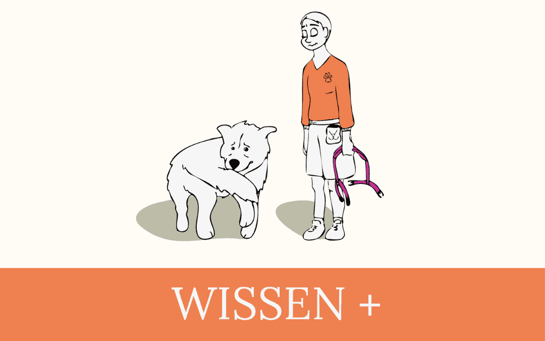 #07 Wissen+ Verhaltensprobleme sind belastend für Hundehalter:innen