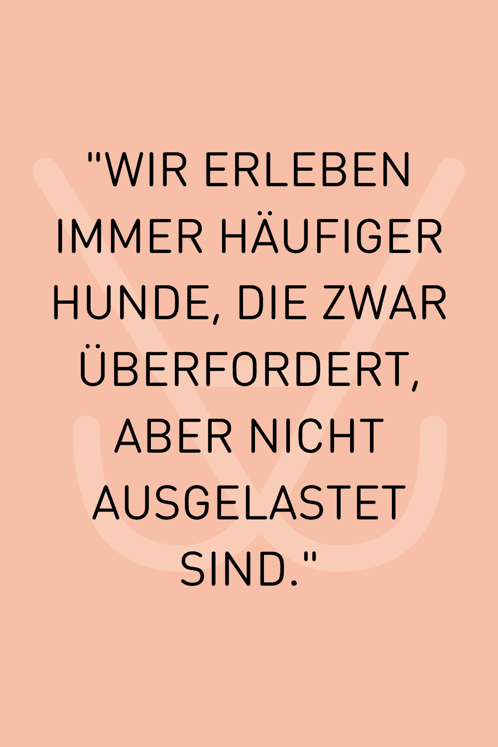 Welche Auslastung brauchen Hunde Welche Auslastung brauchen Hunde
