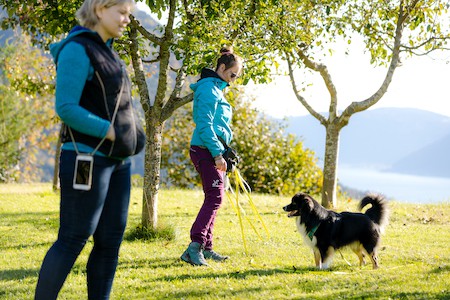 Hundebegegnungen Anne Bucher