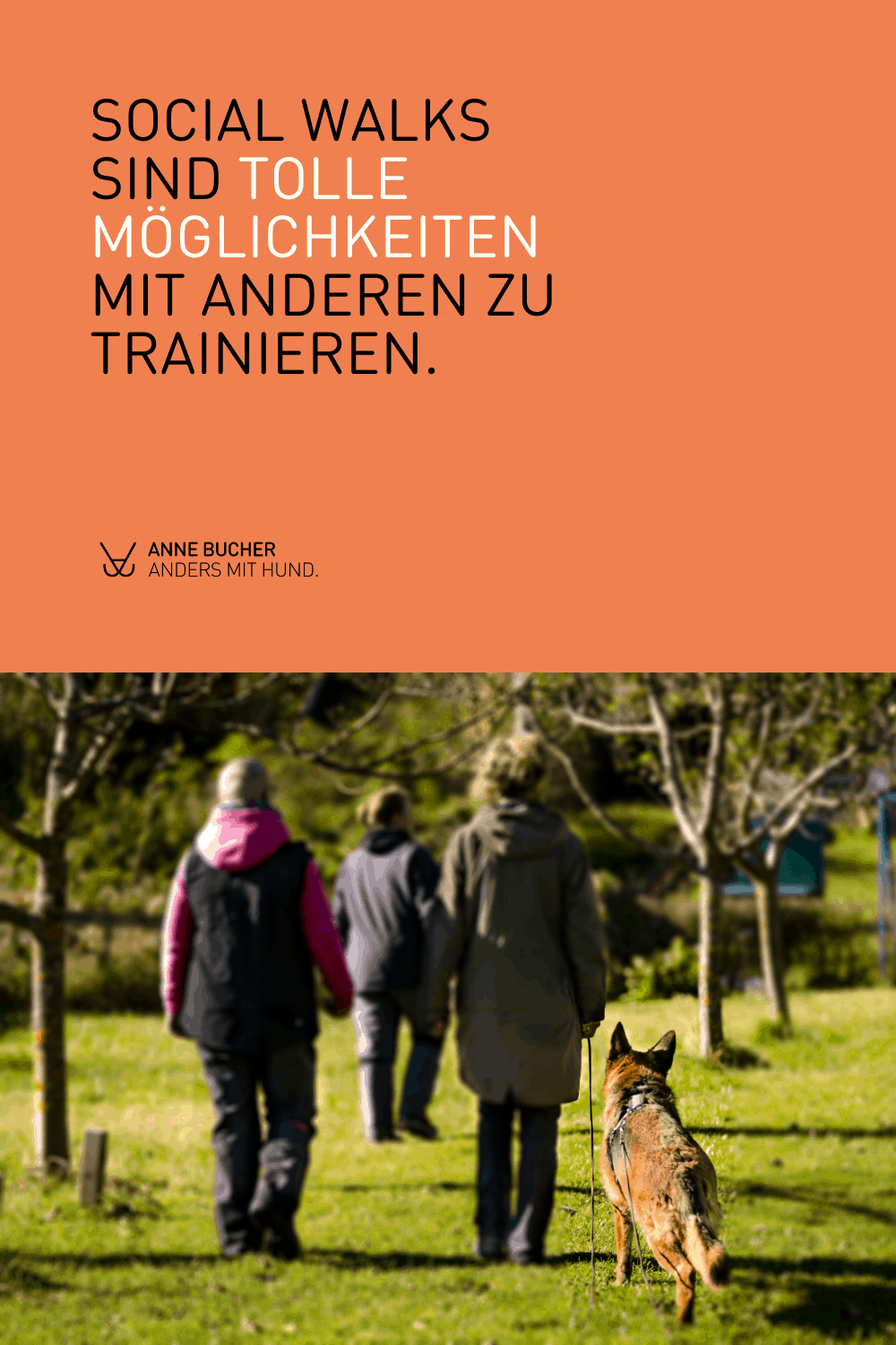 Hundebegegnungen gelassen meistern