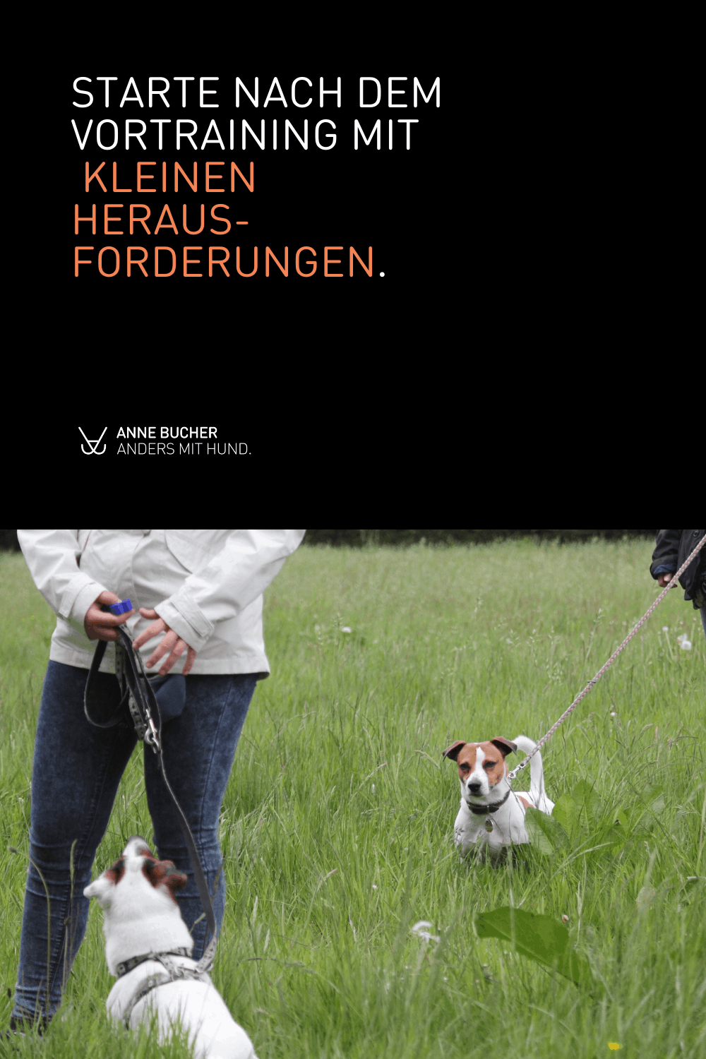 Hundebegegnungen gelassen meistern