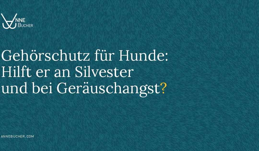 Vorschaubild: Gehörschutz für Hunde – Hilft er an Silvester und bei Geräuschangst?