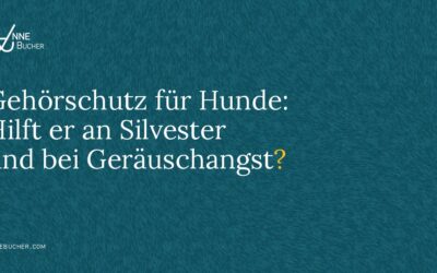 Gehörschutz für Hunde: Hilft er an Silvester und bei Geräuschangst?