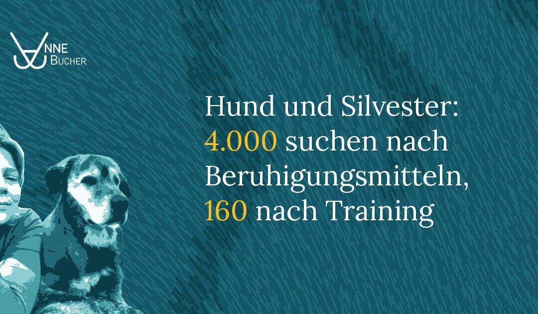 Illustration in Petrol und Türkis: Anne Bucher mit ihrem Hund, daneben der Titel „Hund und Silvester: 4.000 suchen nach Beruhigungsmitteln, 160 nach Training“