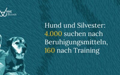 Hund und Silvester: 4.000 suchen nach Beruhigungsmitteln, 160 nach Training