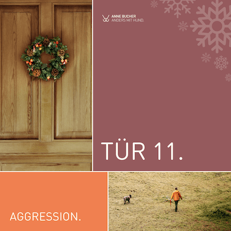 Tür 11 - Aggression